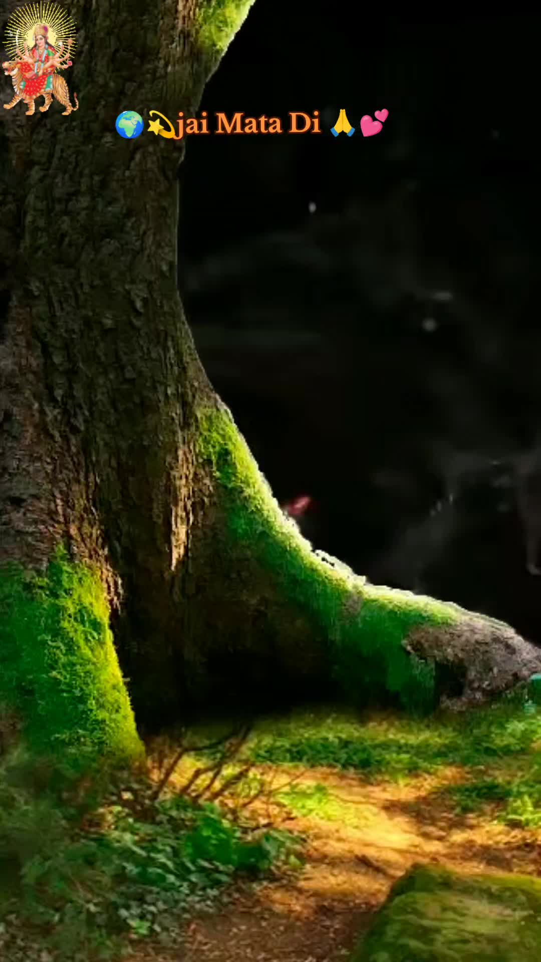 @ððºð¯ððšðŽðŠðŽðŒð²ð¯ð°ððšð©