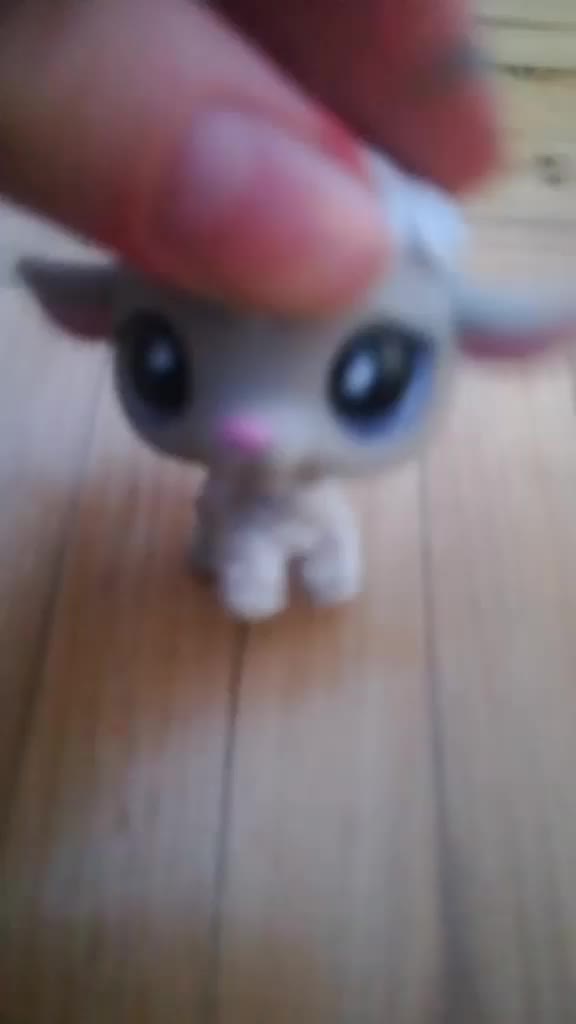 @lps_mmer