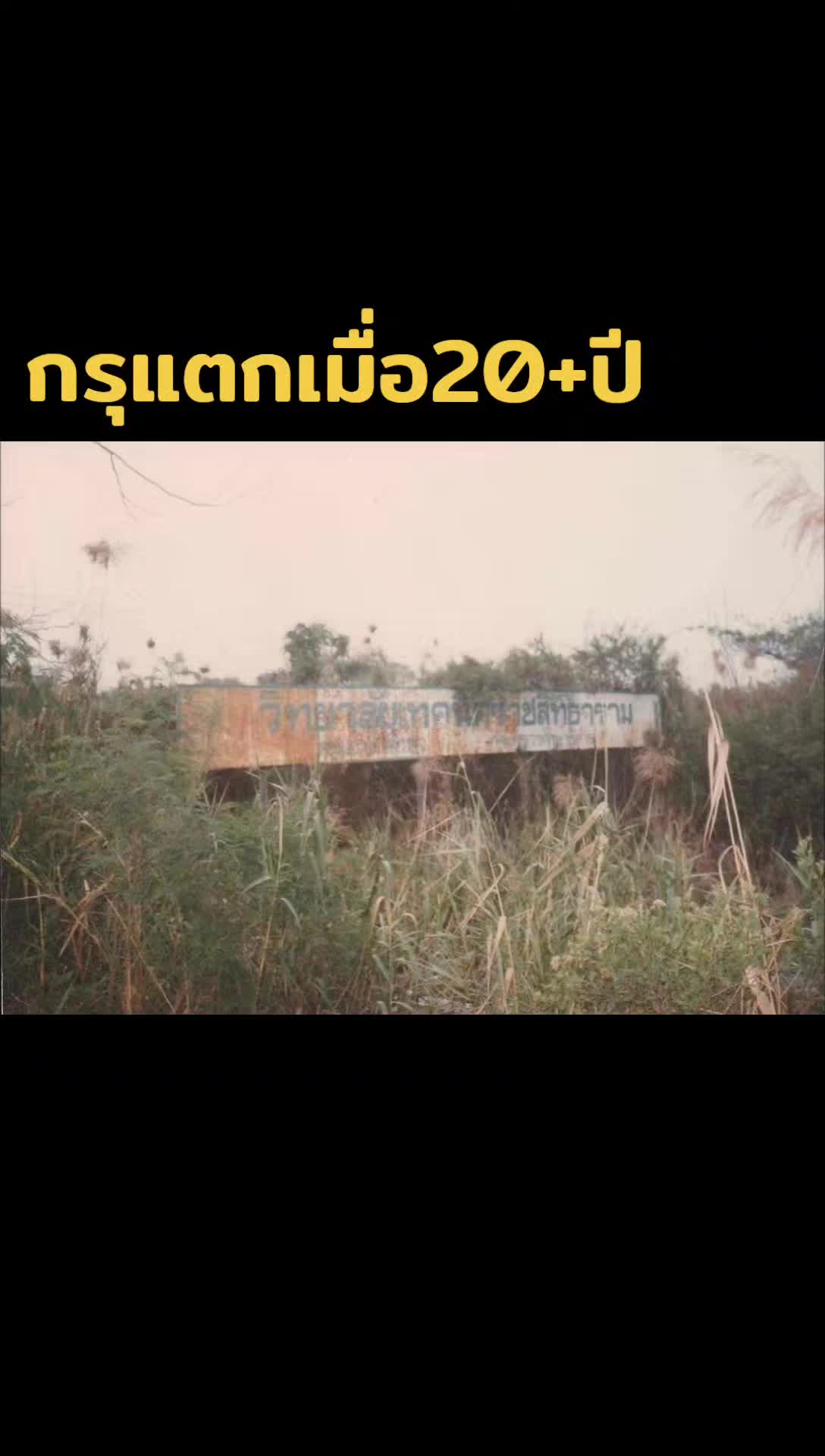 @ทองธรรมชาติ - ราชสิทธาราม