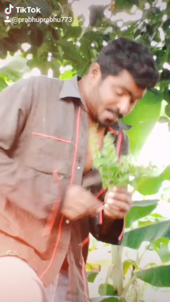 @Prabhu Prabhu