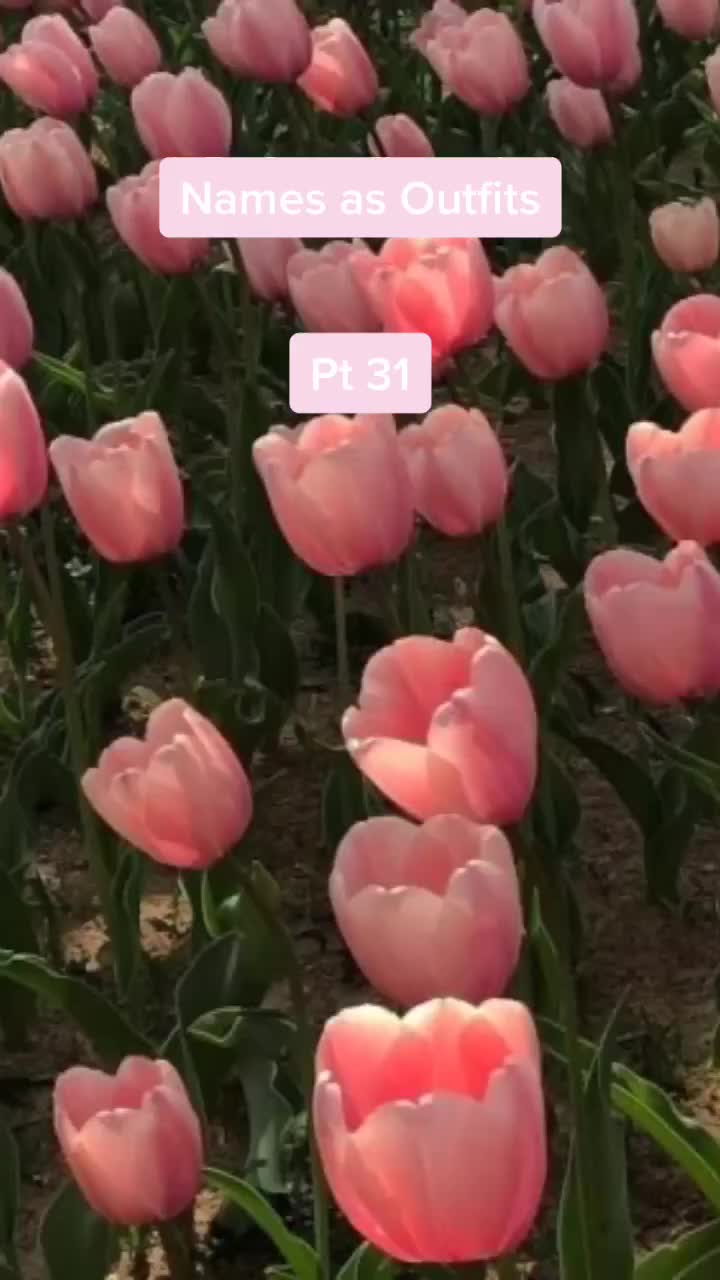 @jade