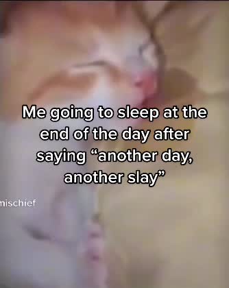 @🪴🚬