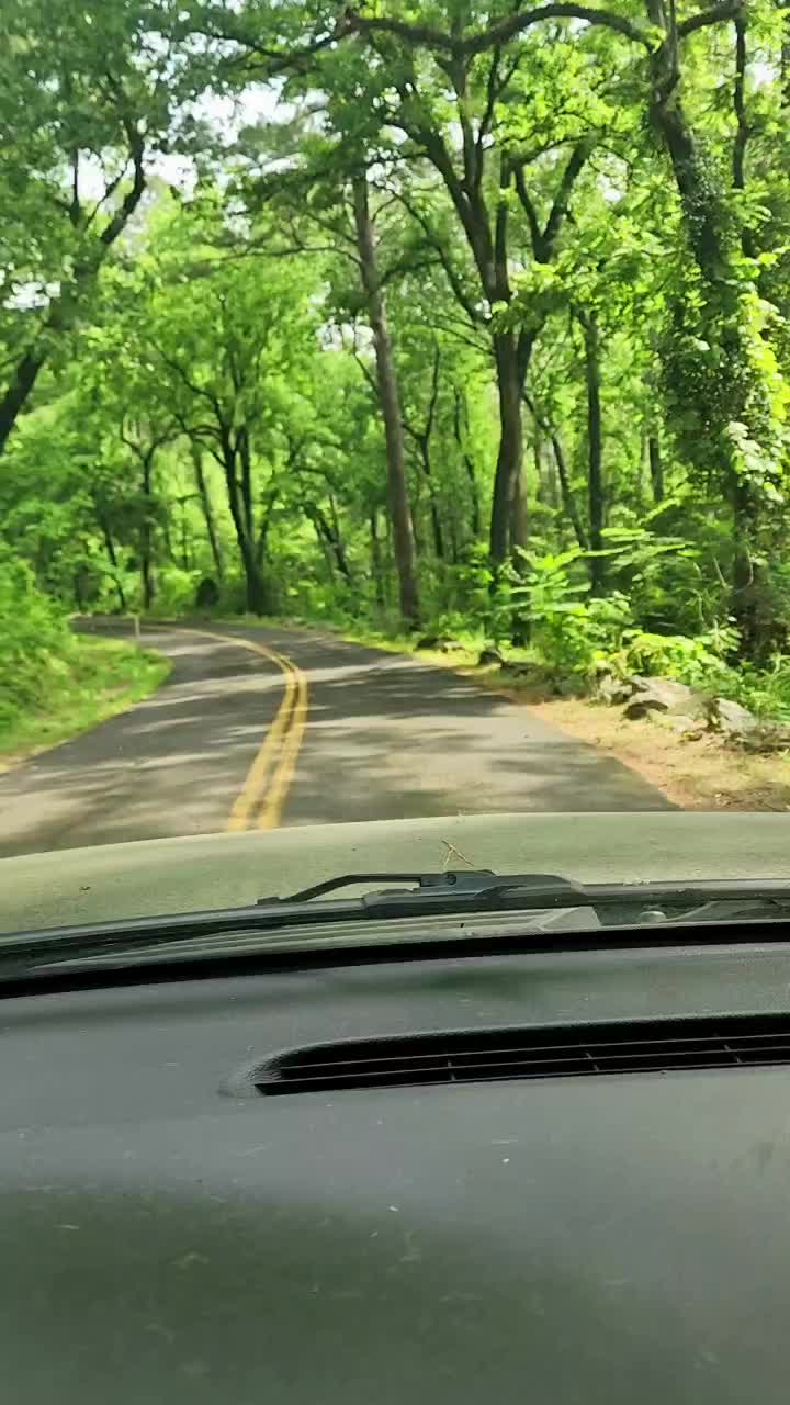 @BulldogTopiaInTexas💙💙💙💙💙