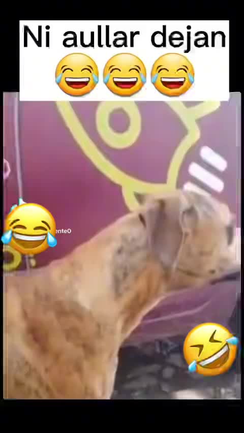 @LUIS007