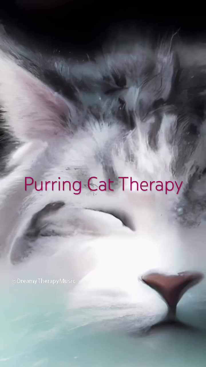 @Dreamy Therapy Music