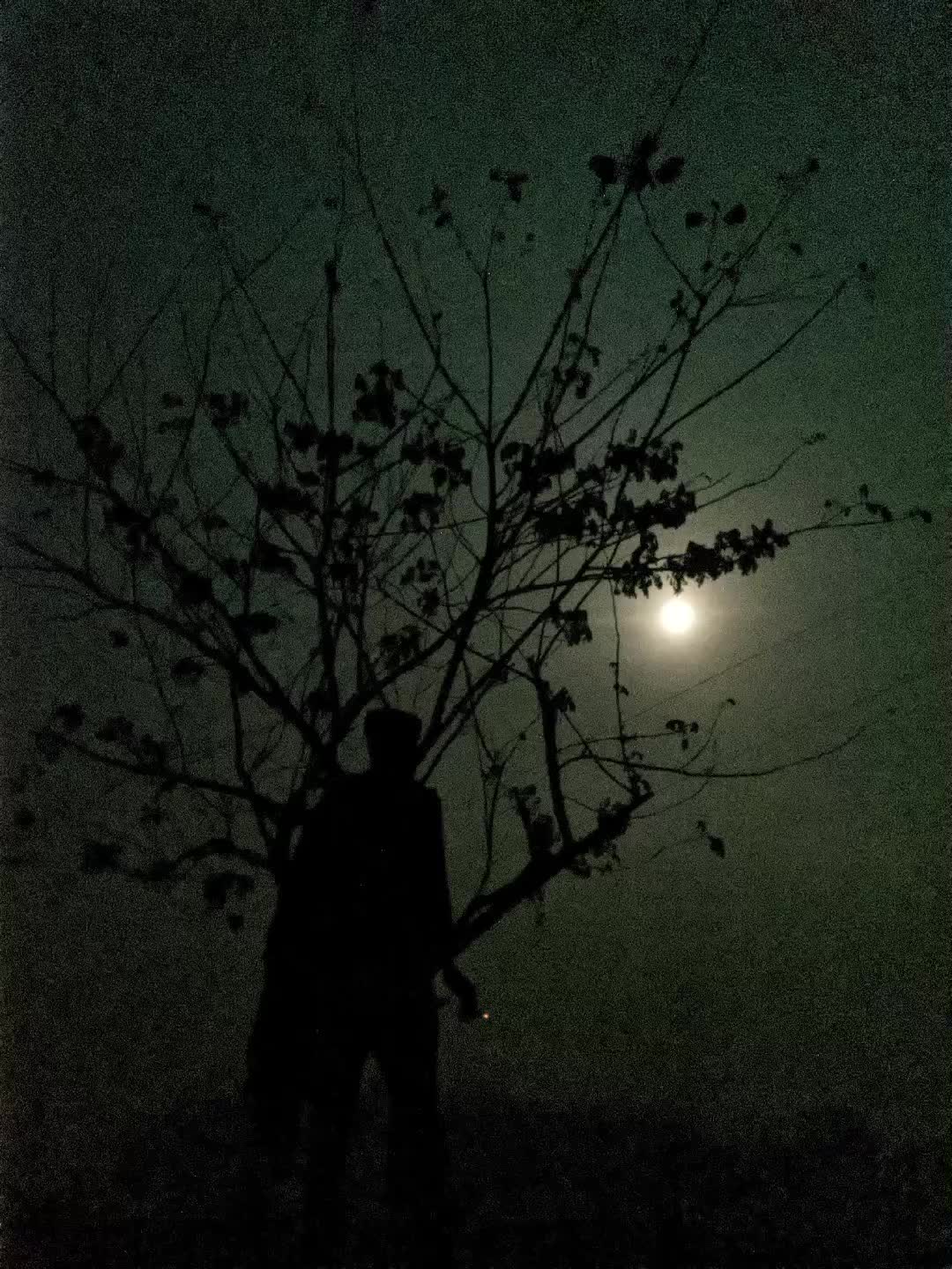 @Istik_Hridoy 💫
