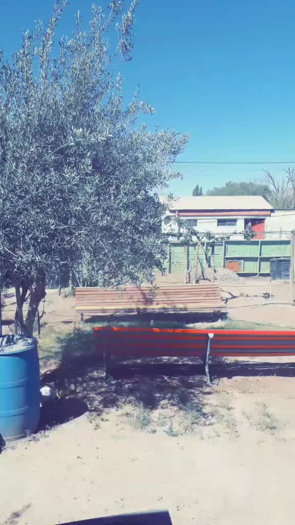 @Catalina moll