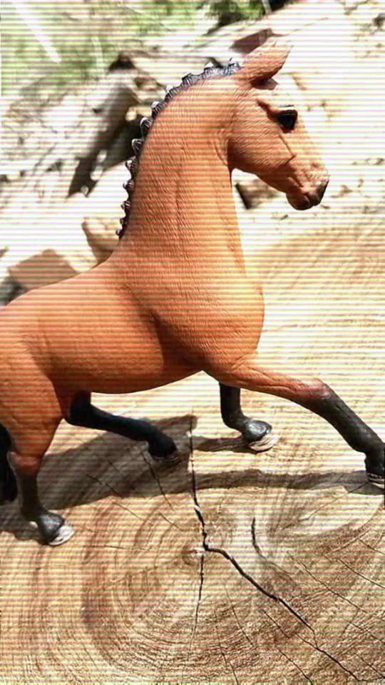 @❤Schleich🧡Today💛