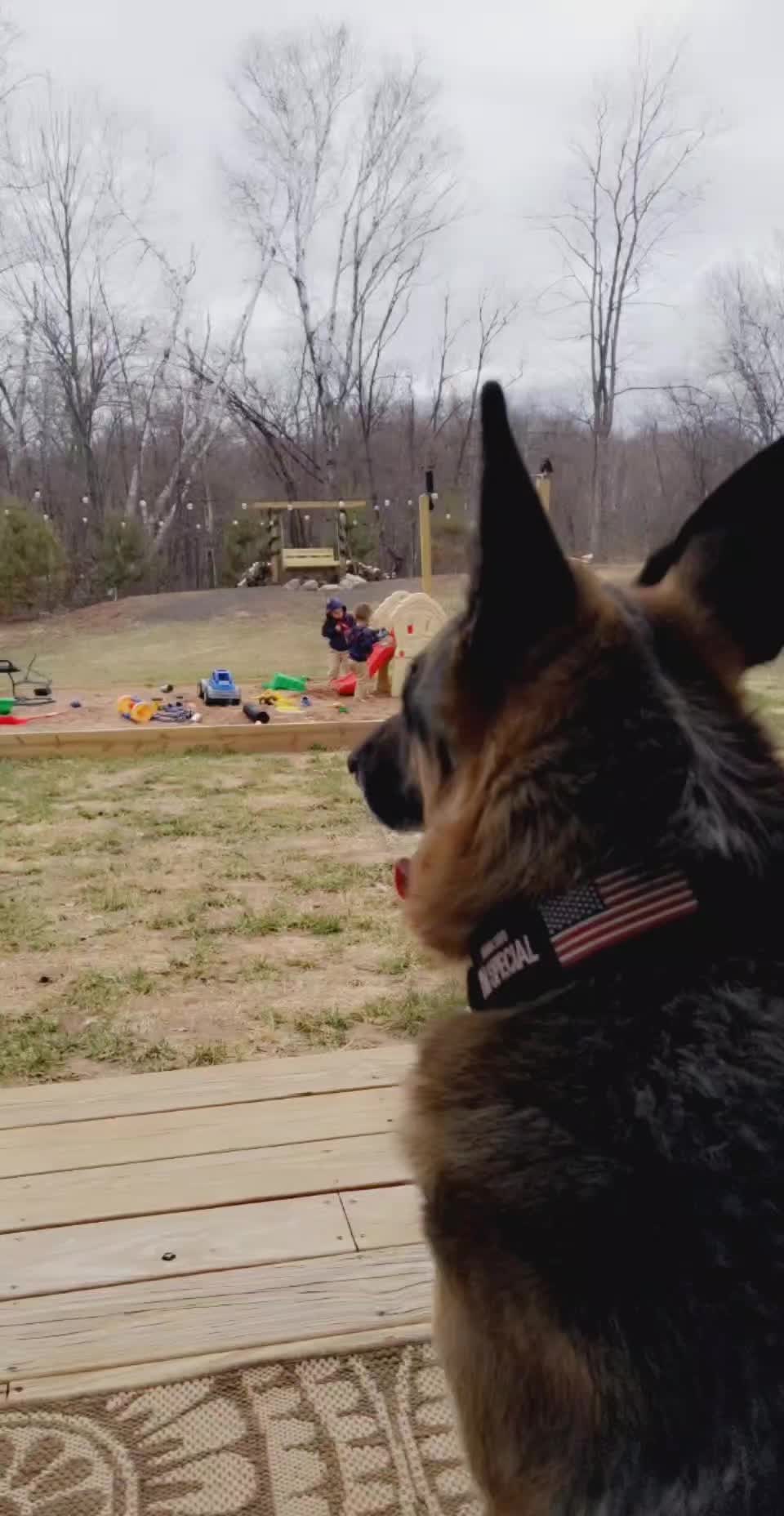 @Kolt - GSD