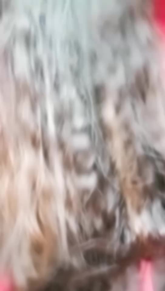 @mahimathakkar17