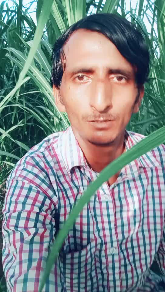 @Ankit