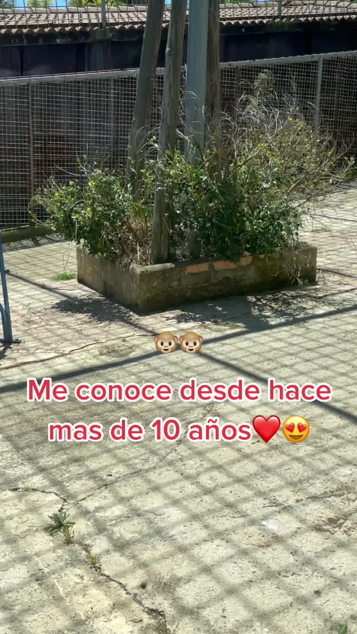 @Sandrita Alma