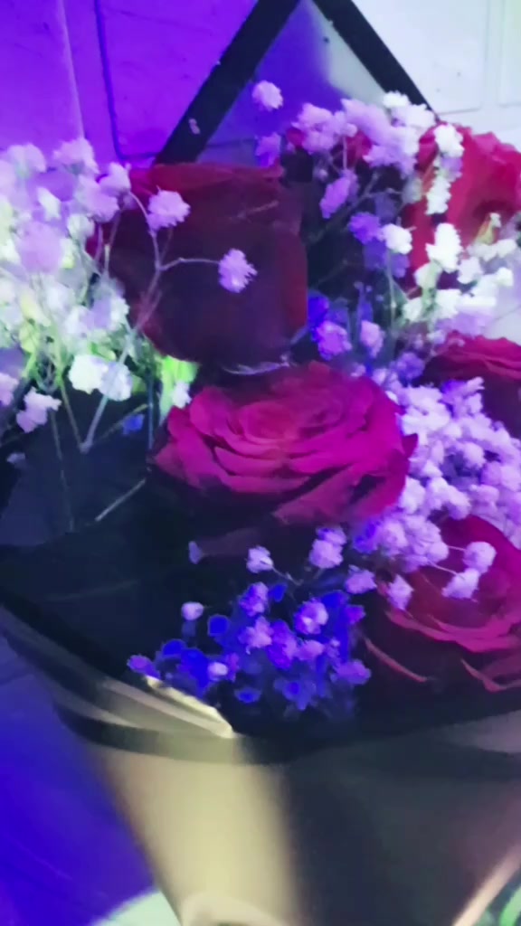 @بيان المالكي 🤗