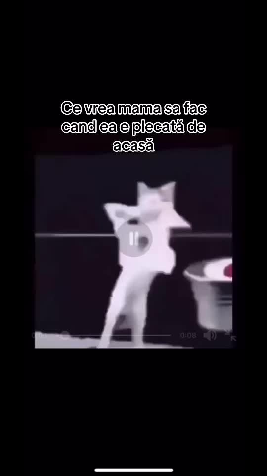 @🐾𝒜𝓁ℯ🐾