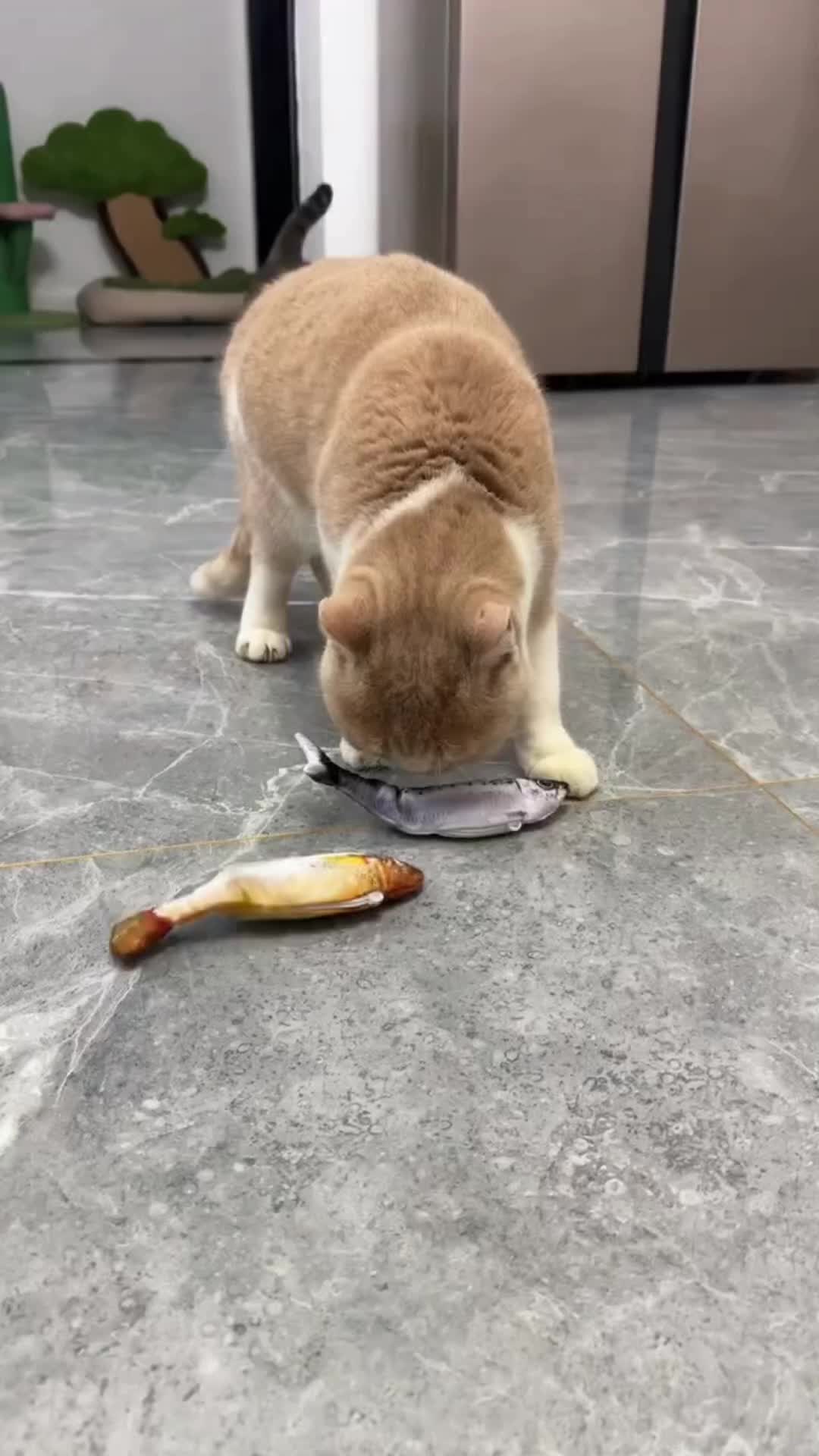 @fluffypet