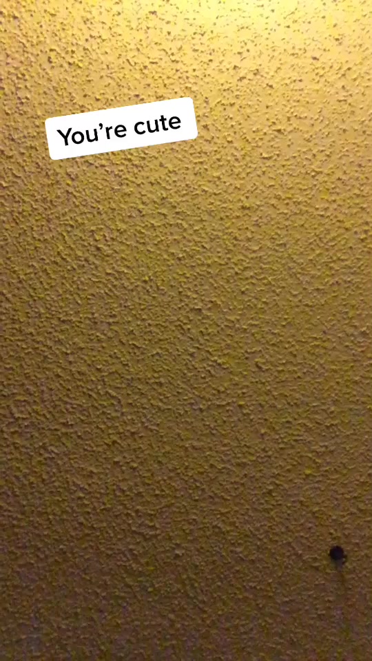 @Haleigh 🦋🌎