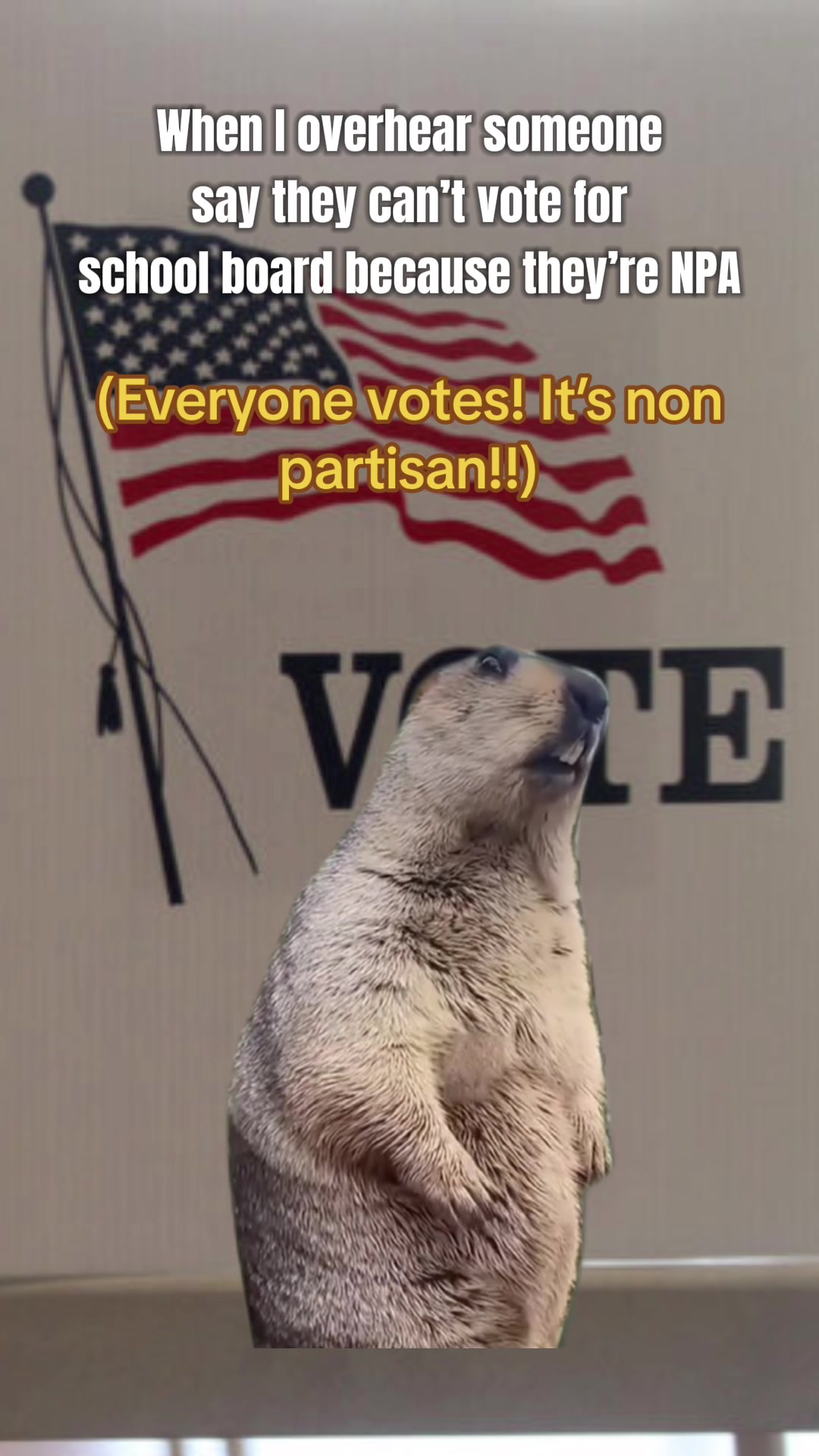 @ProtectPublicEd
