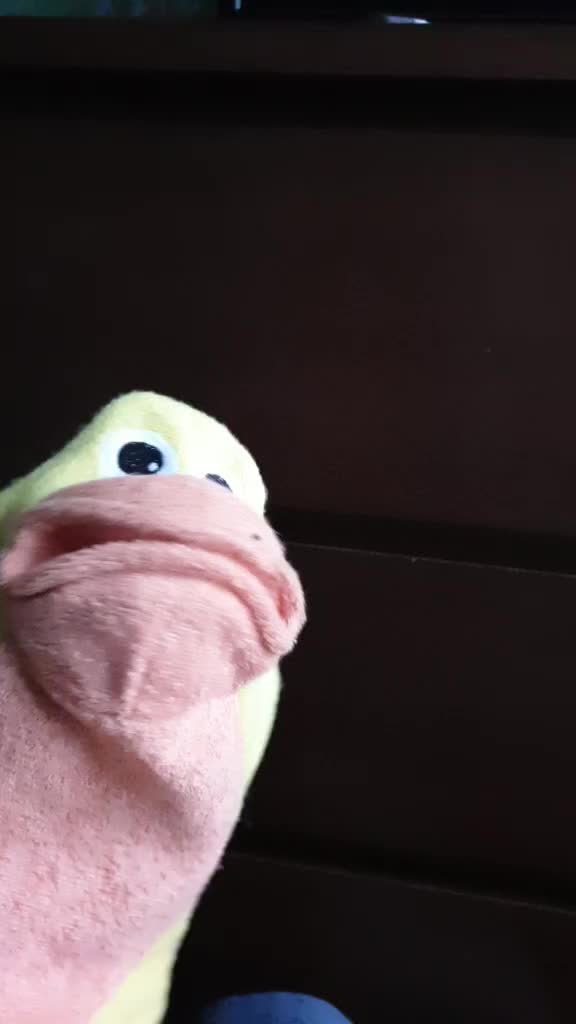 @donald ducc 2