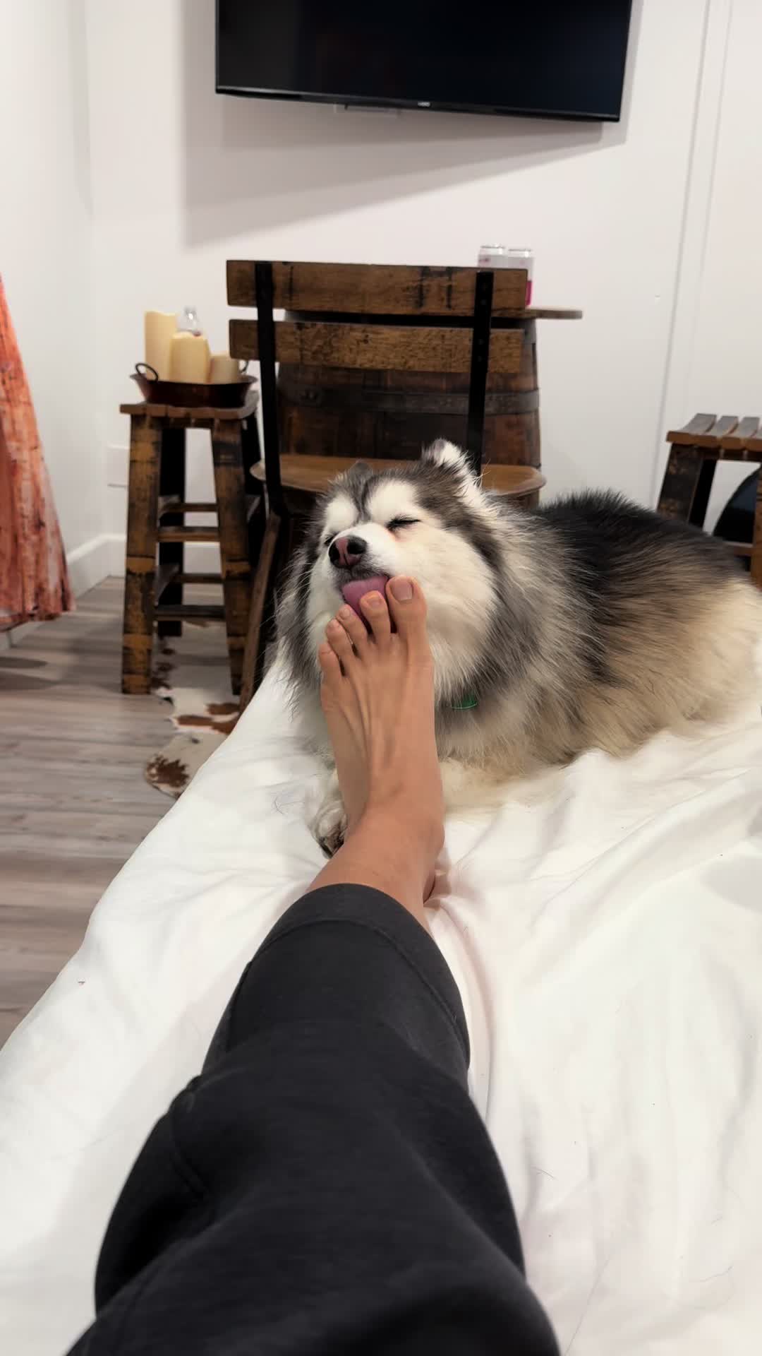 @Chonkster