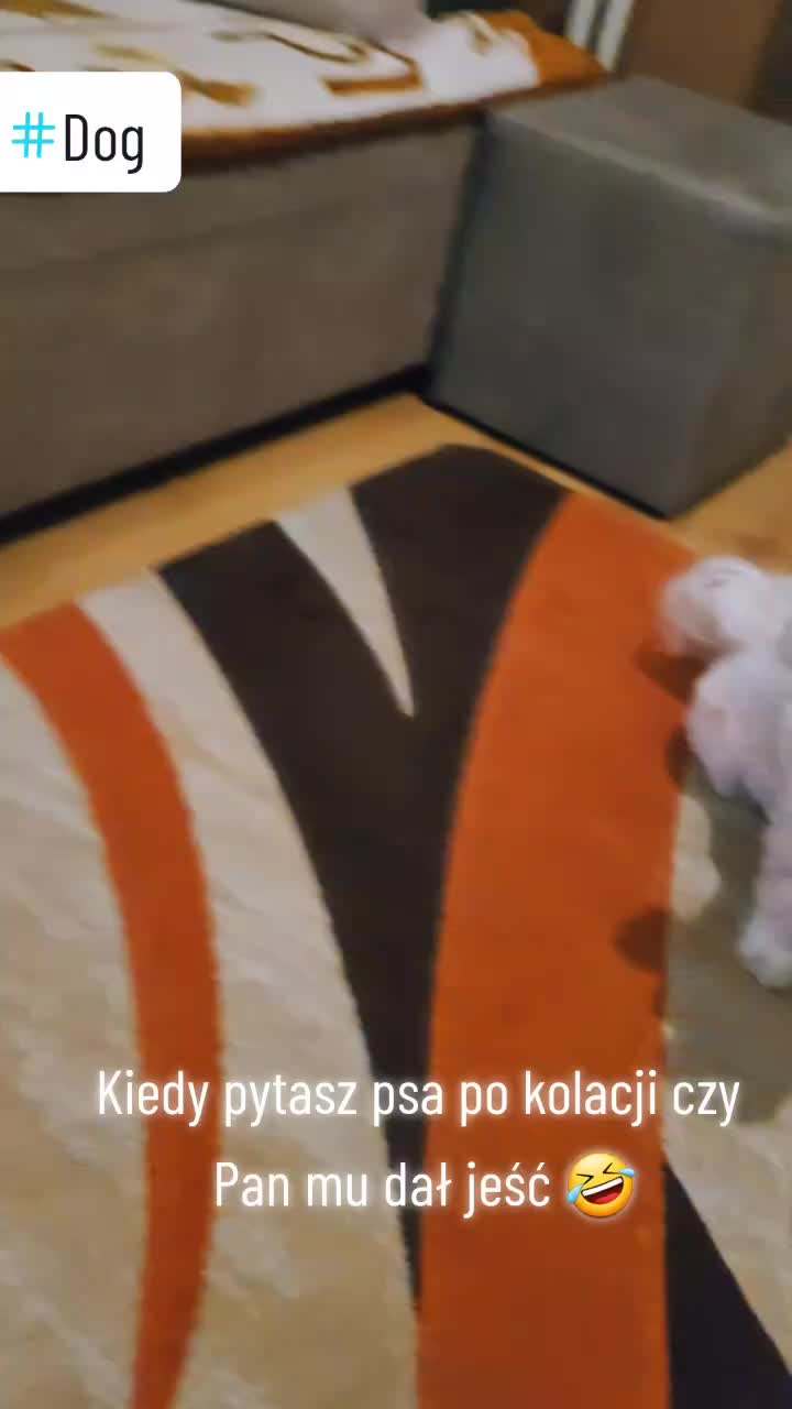 @wackii5