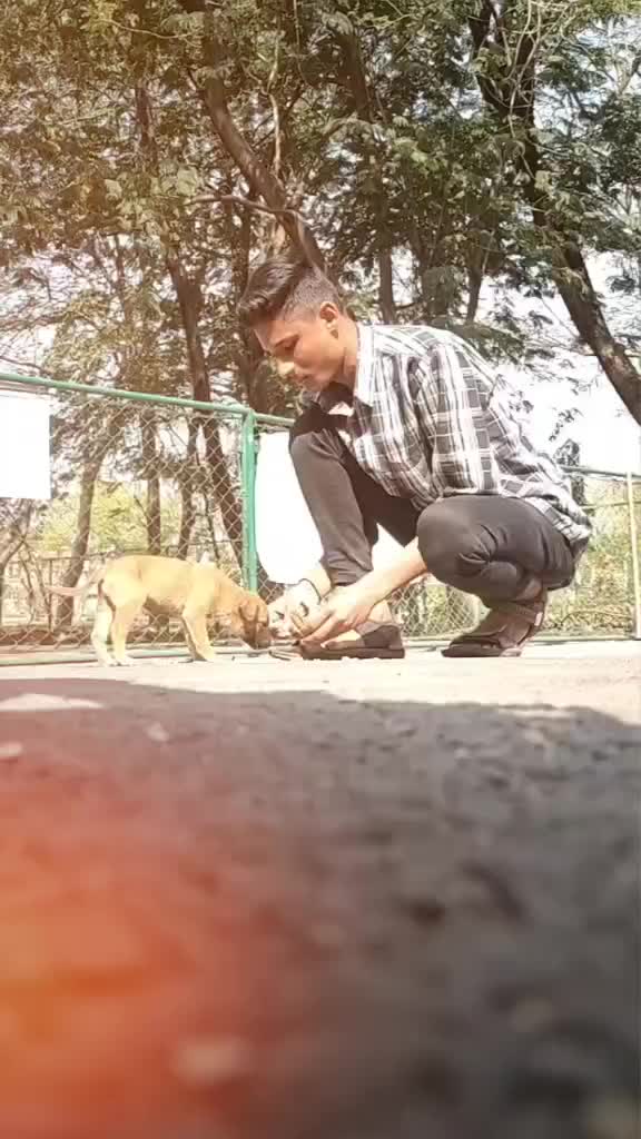 @Nishant_biradar