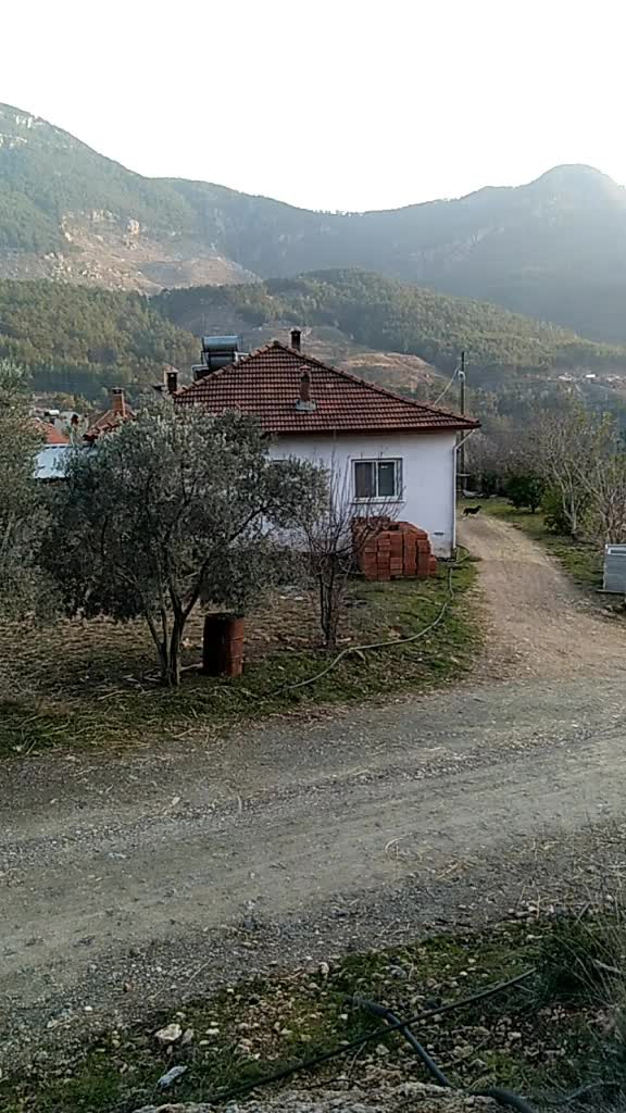 @Güler Kaya