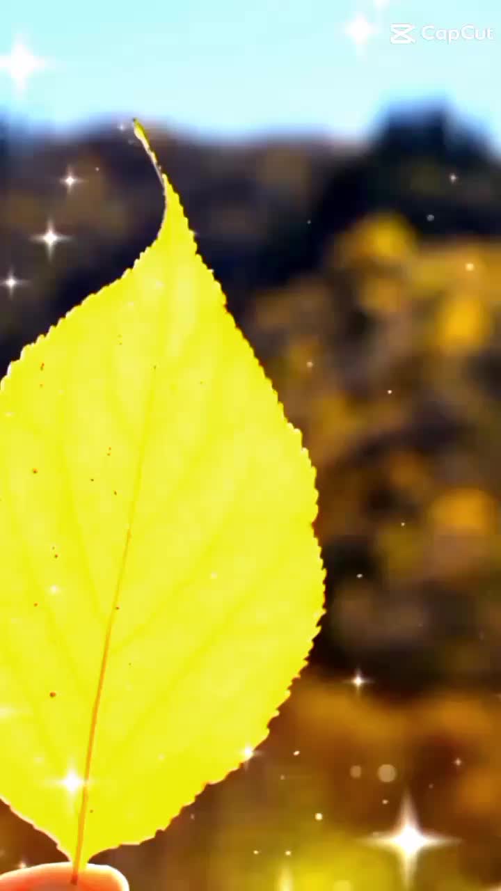 @kadayatganesh1234
