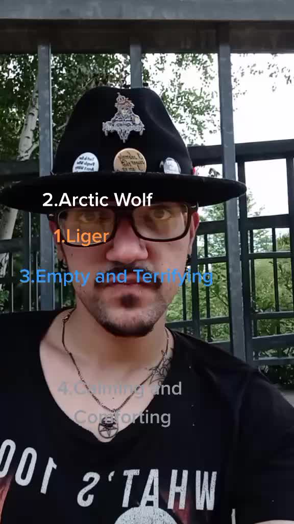 @Ezryn Sparrow Arcana Roth