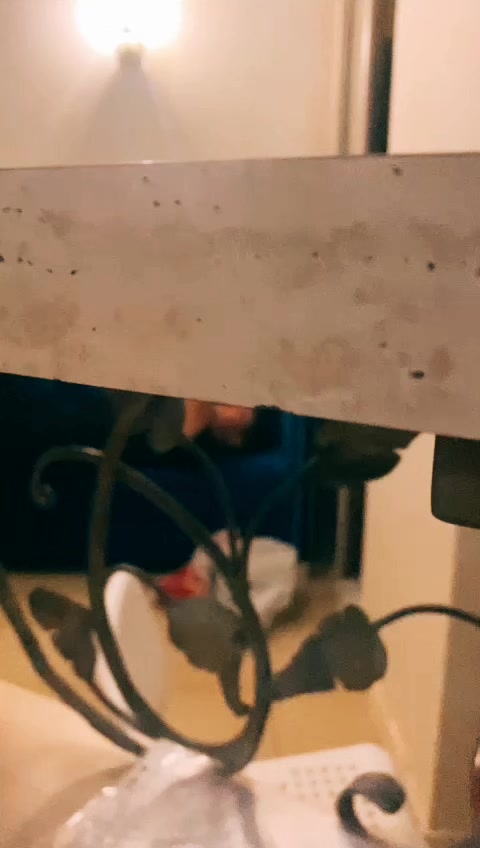 @palych_x