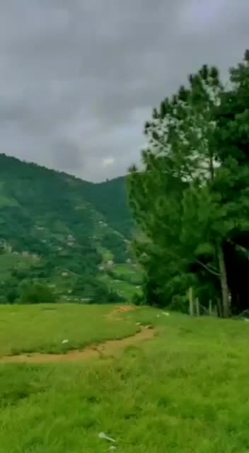 @vandri_pratik