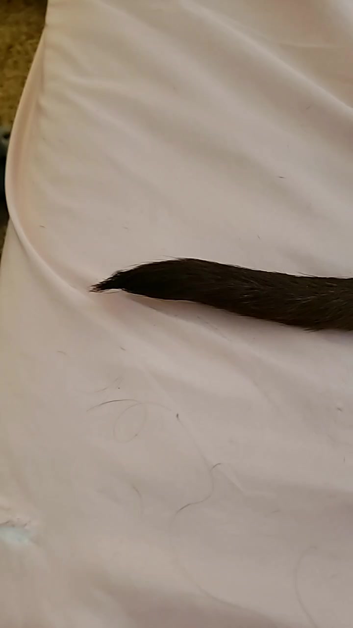 @xMissTink89x