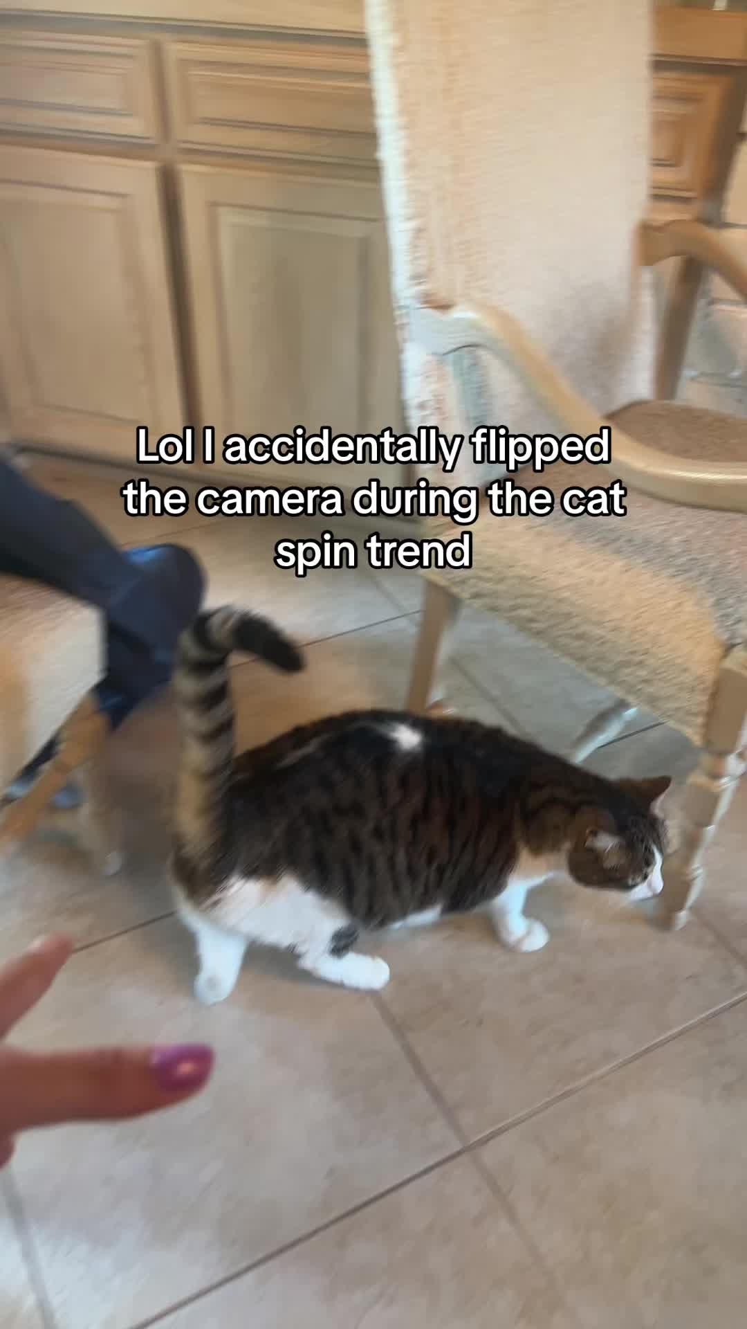 @Gab