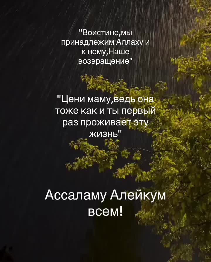 @Ветеринар Байэл