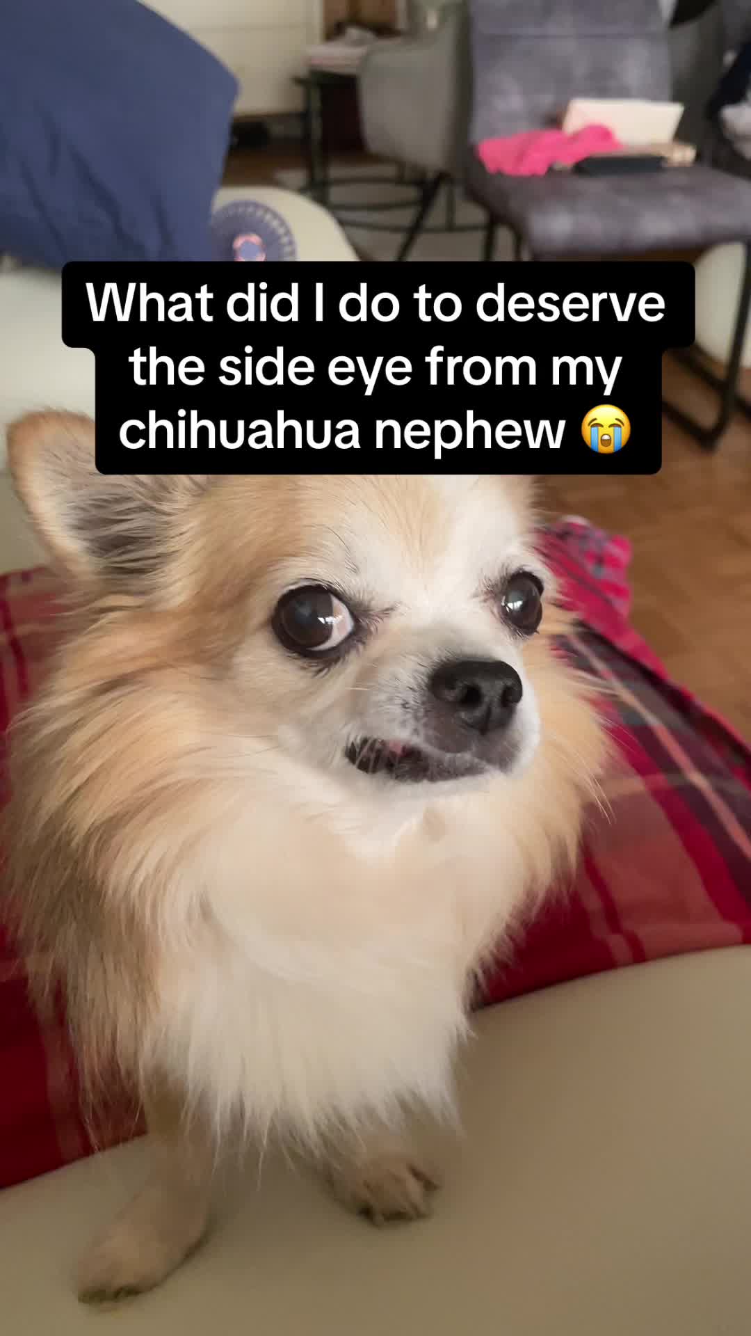@ItsMissV