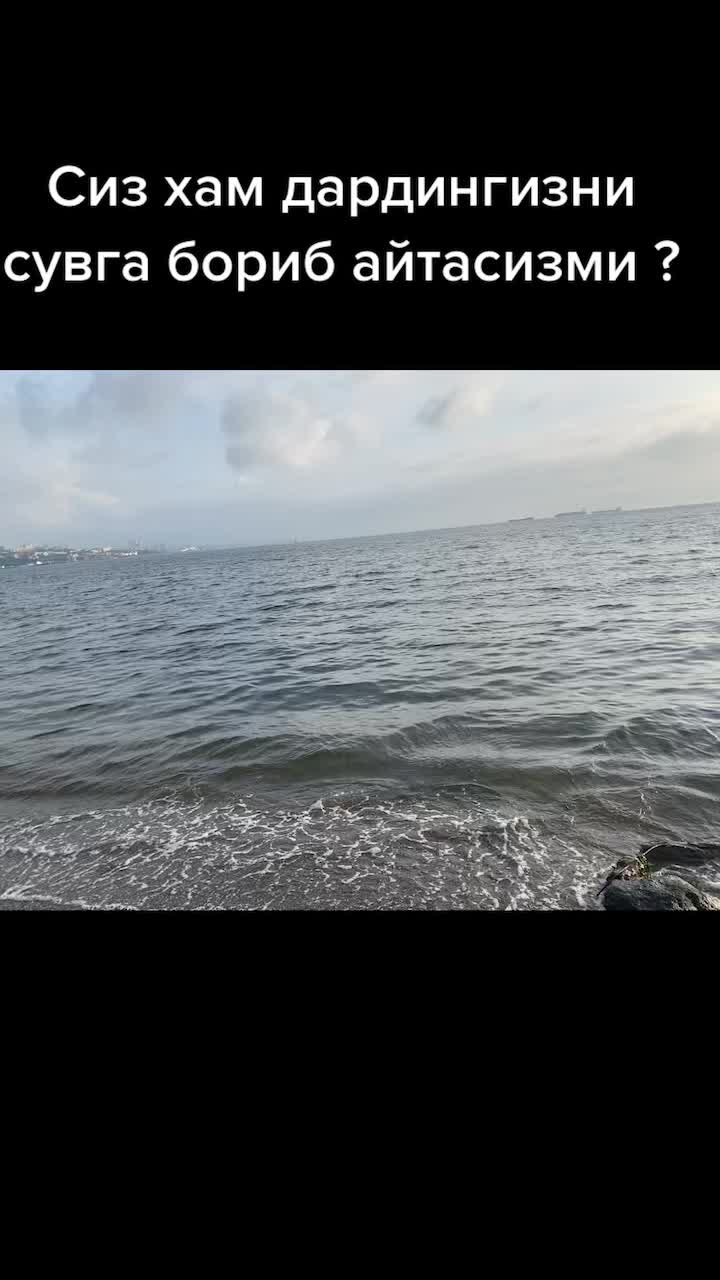 @shekha988