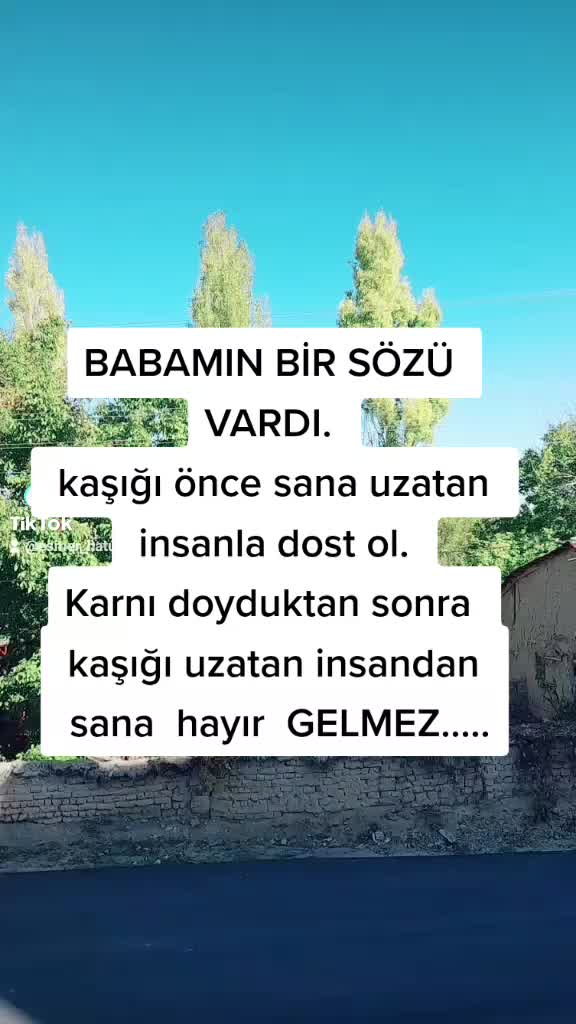 @ASEL ASEL