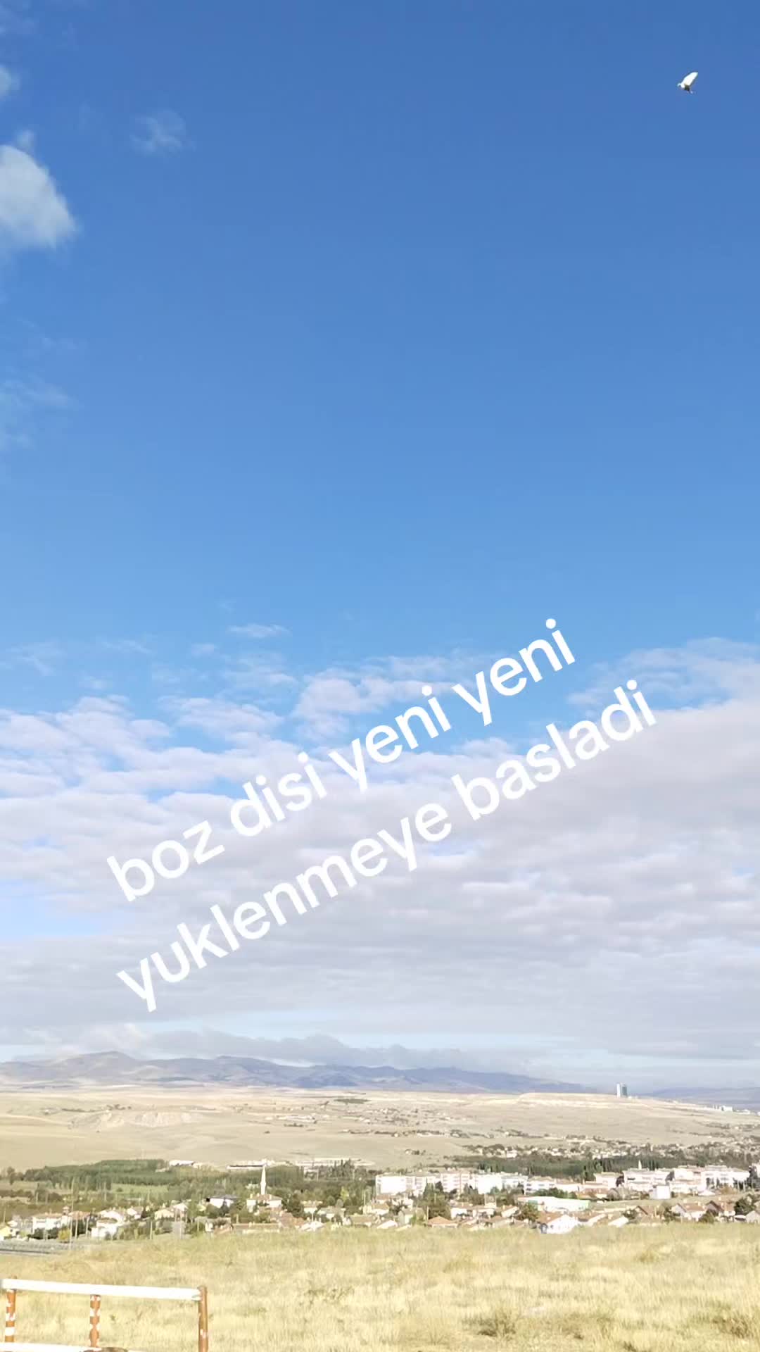 @🎲🎲oyunkusu.kirsehir40🎲🎲