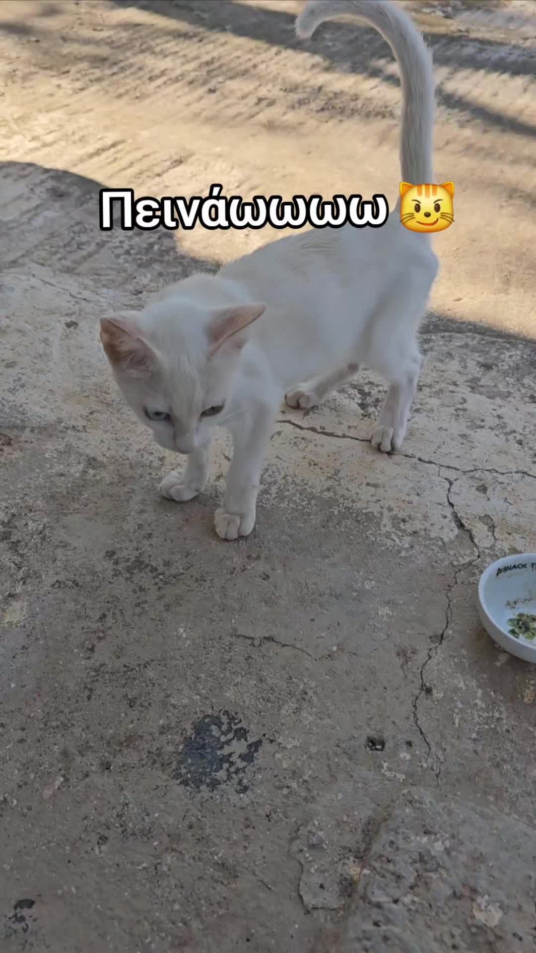 @Κωνσταντίνος Ντζ