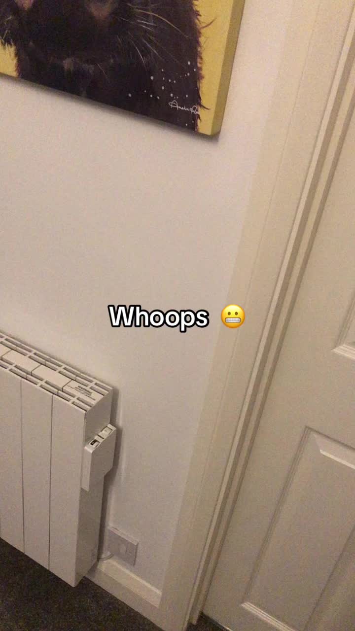@Catfiig