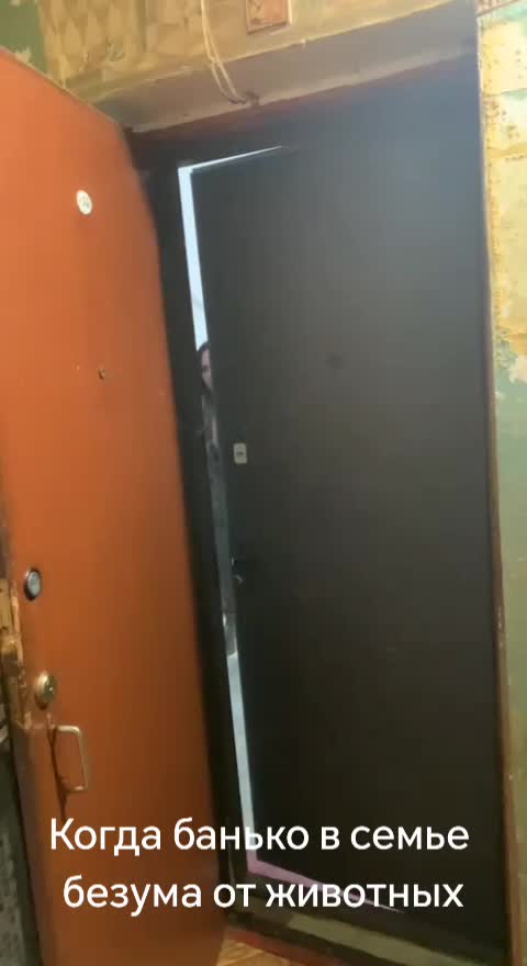 @Tatiana🕊️milaia