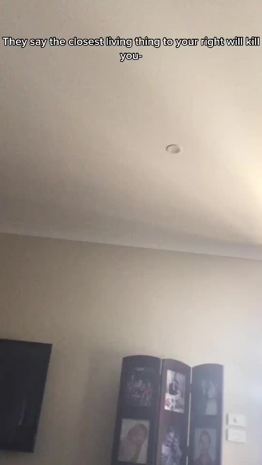 @Broooooooooooooooky