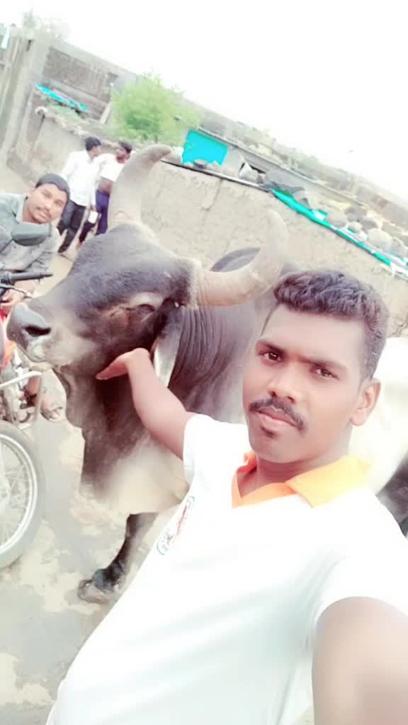 @Sunildodke94