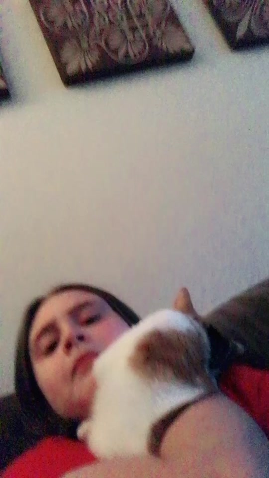 @Little Nala