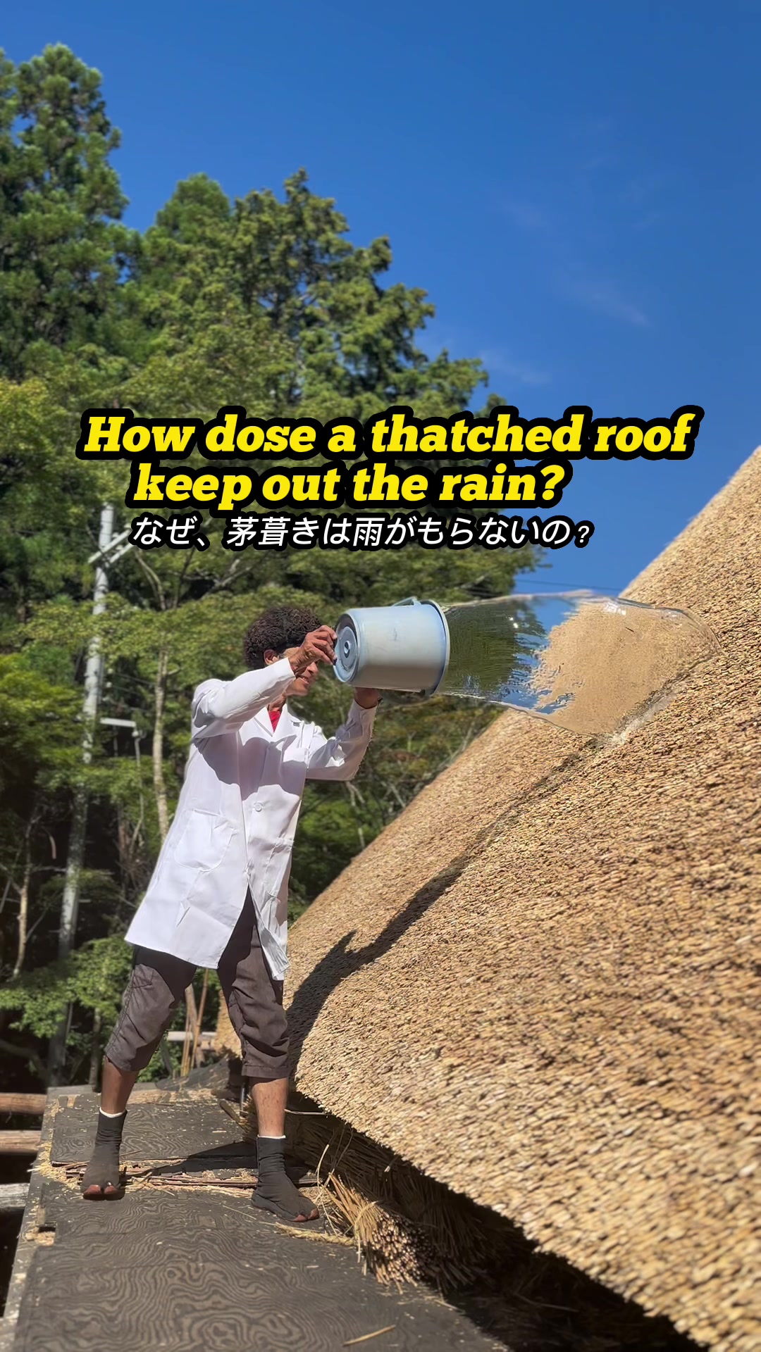 @Japanesethatchingguy