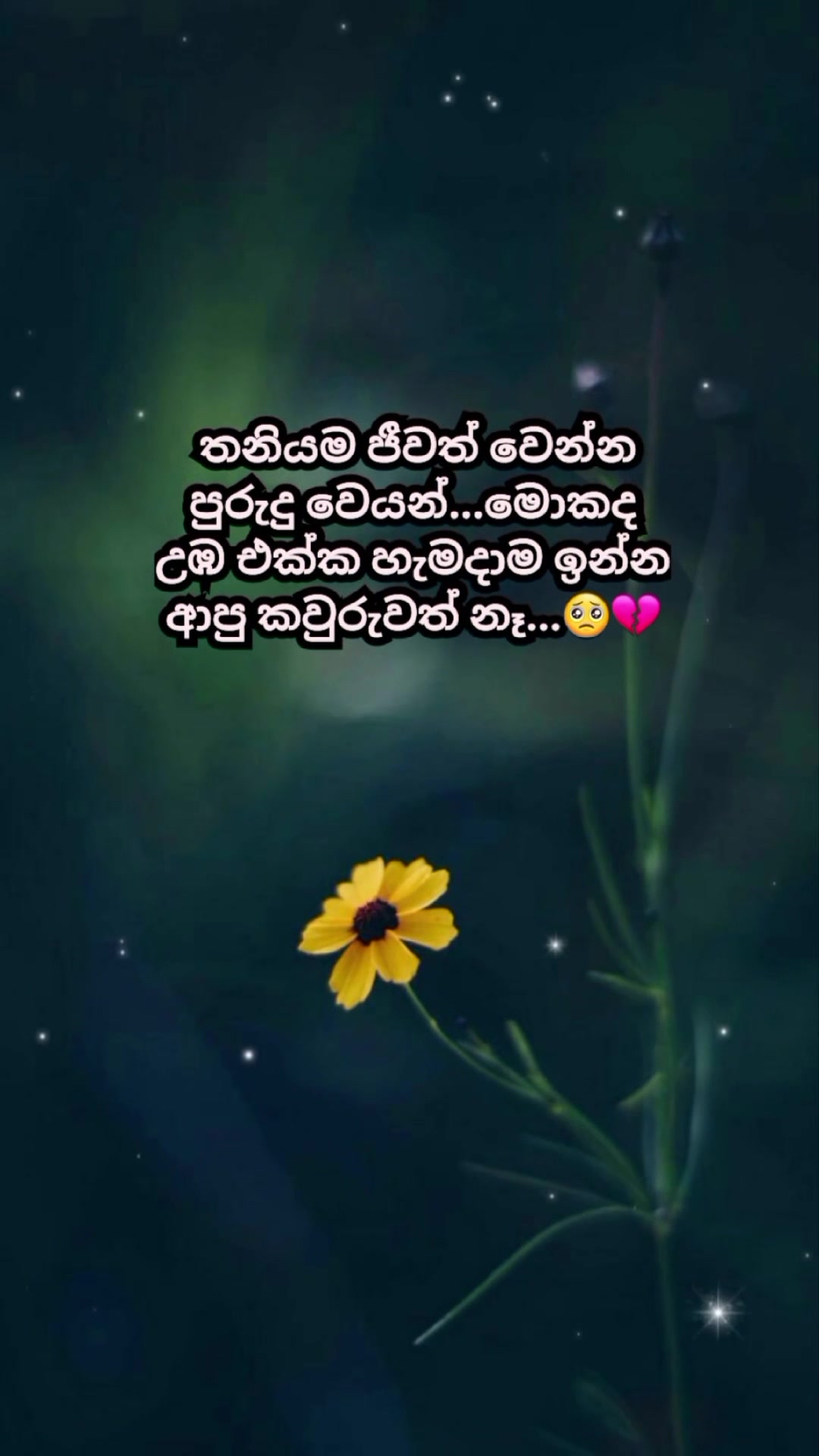 @Mashi