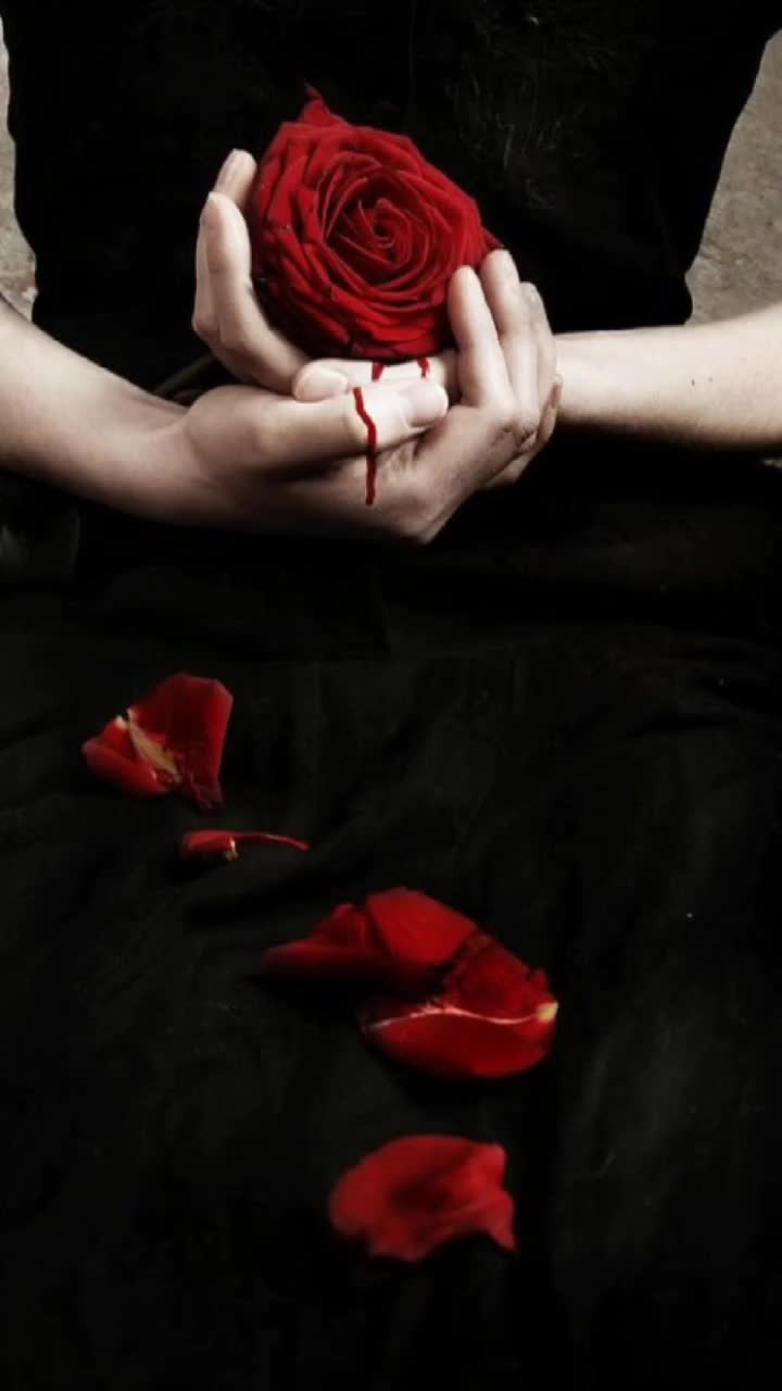 @🦋𝓚𝓮𝓵𝓮𝓫𝓮𝓴𝓶𝓲𝓼𝓪𝓵𝓲