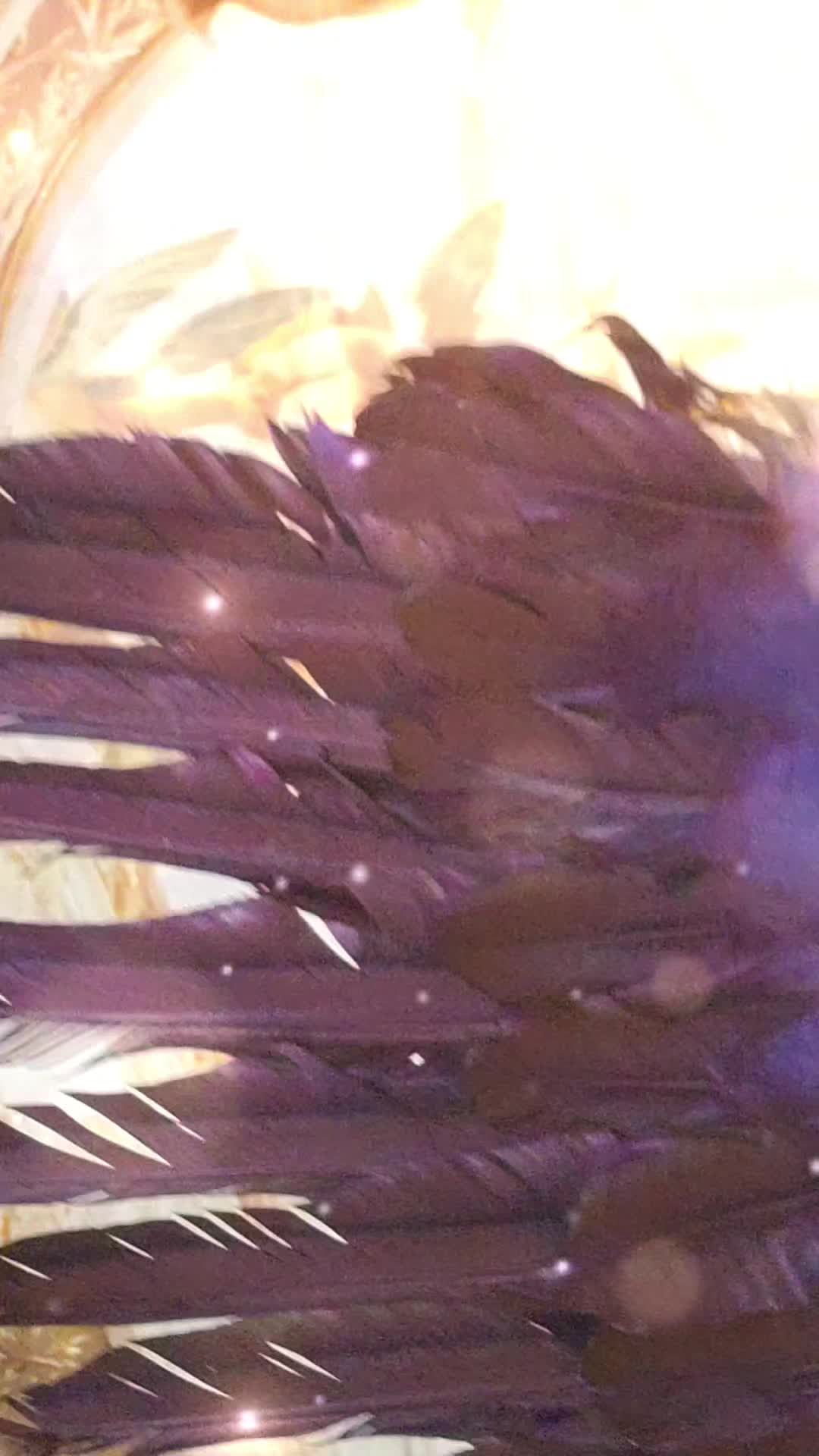 @๐พ๐๐_๐๐๐๐๐๐๐๐๐๐
