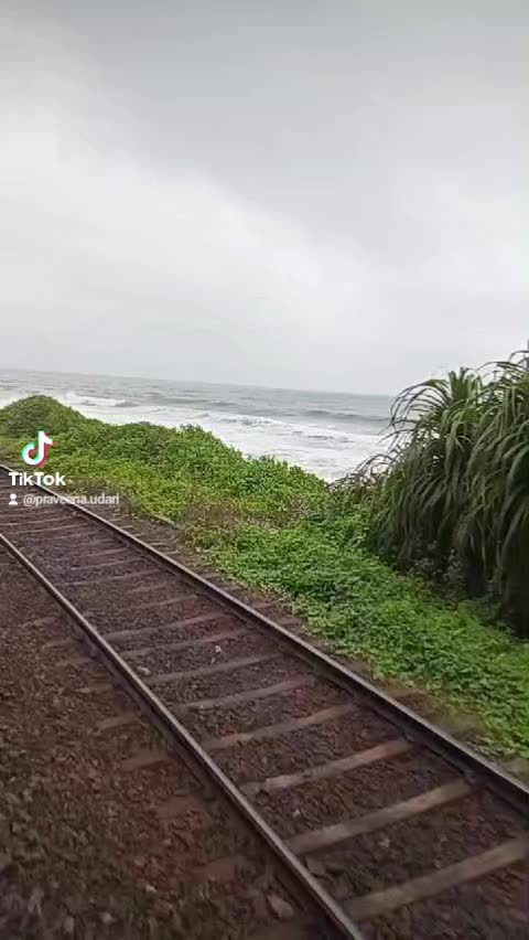 @udari