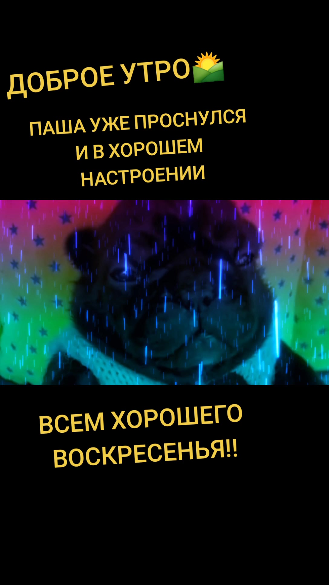 @....