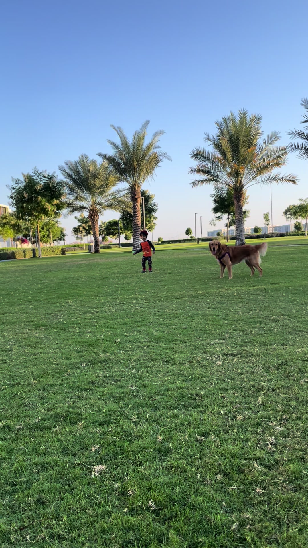 @Feel at HomePetCare